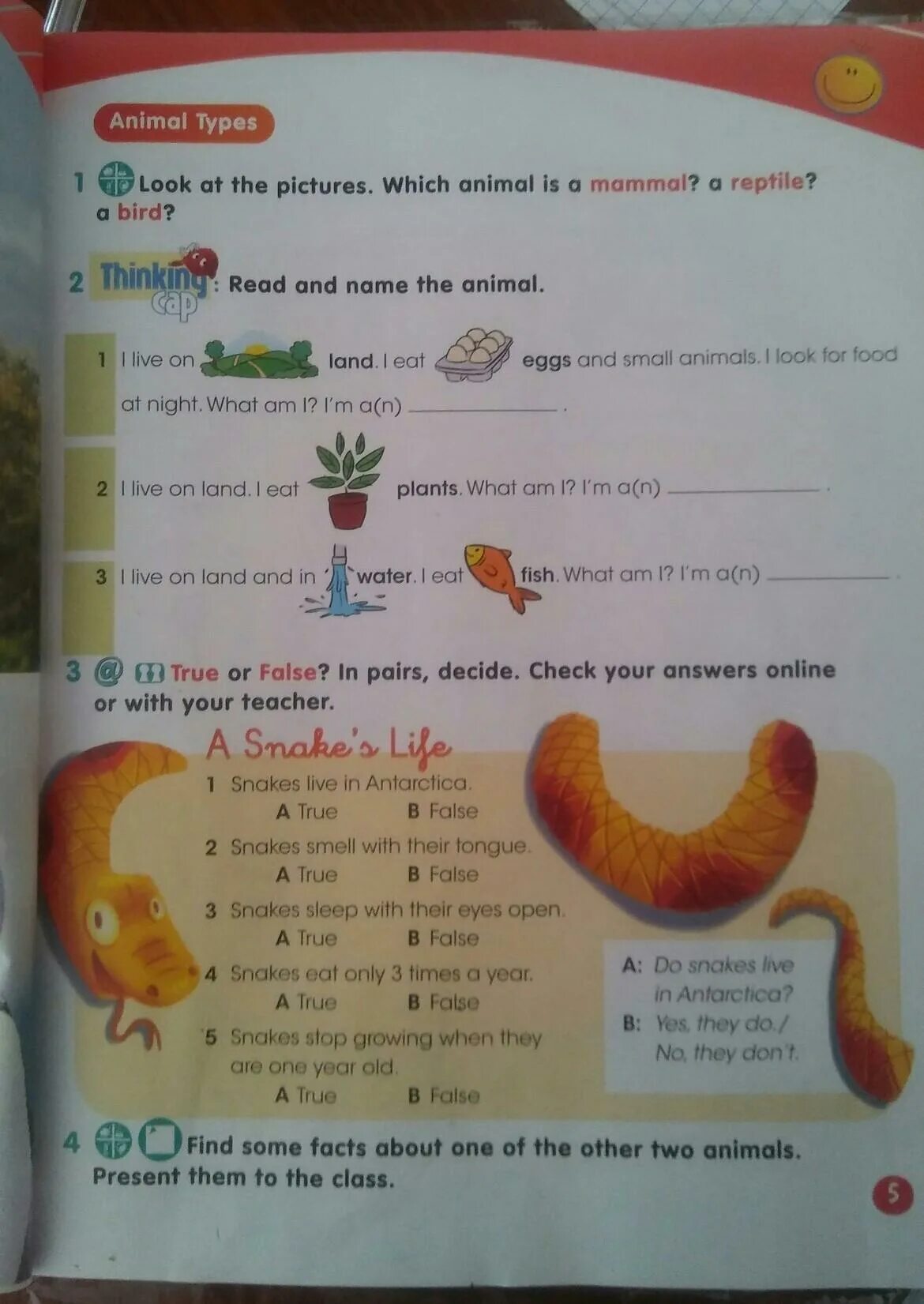 1 Do you like Snakes? B. A Yes, they are. B no, i don't. What. Reptile of mammal? Look again and write the names of animals below in your Notebooks. Fun animal facts' true or false? Correct. Decide in pairs