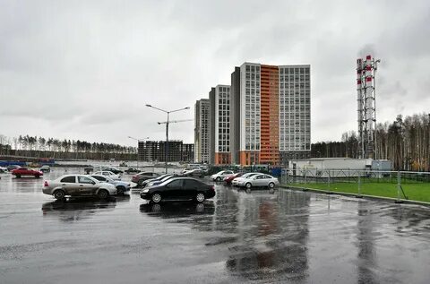 Застр