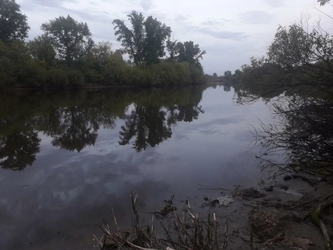 Река черная Курган. Водоемы Кургана. Речка черная г. Курган. Черная речка курган