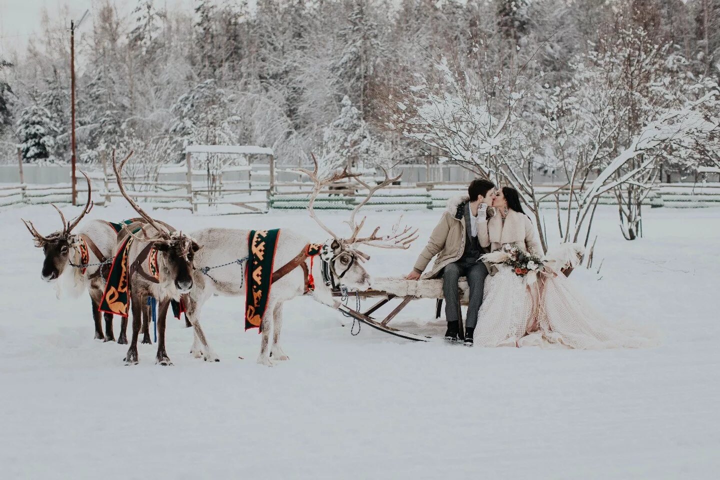 Якутская традиция уважительное отношение женщины к мужу. Якутская свадьба. Свадьба якутов. Традиционная Якутская свадьба. Свадьба в якутском стиле.