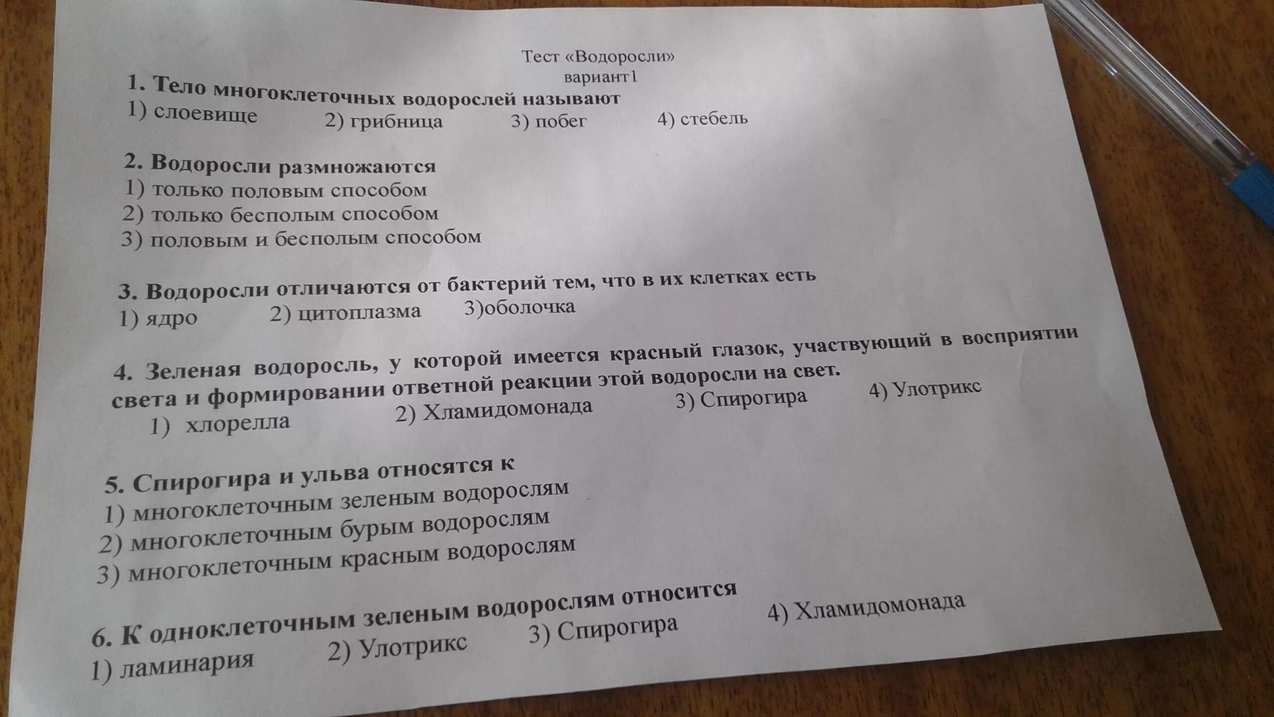 Тест водоросли 6 класс биология. Водоросли для контрольной работы. Тест водоросли. Водоросли тест проверочная работа. Тест по биологии 6 класс тема водоросли.