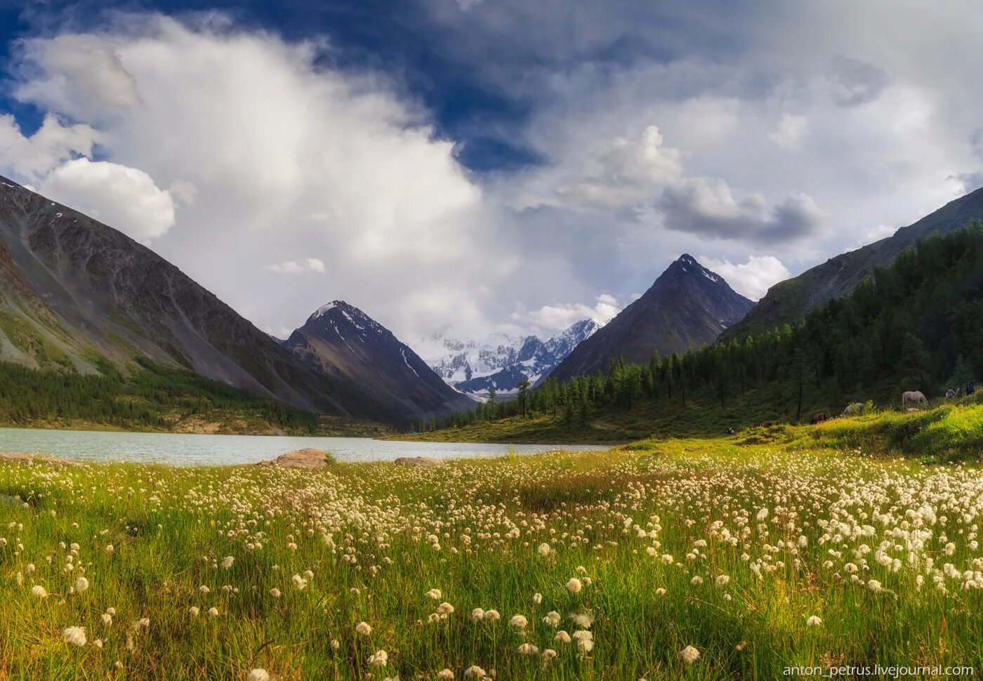 Пейзажи Алтая. Пейзажи алтайских гор. Алтай небо. Небо и горы Алтай.