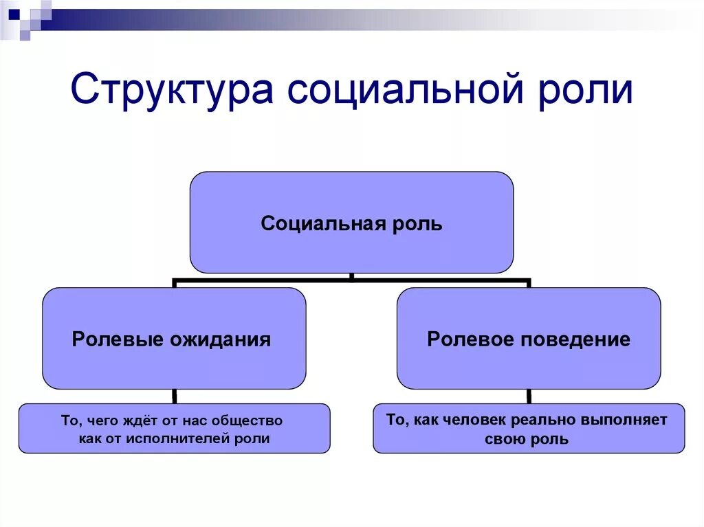 Два ролевых ожидания. Нормативная структура социальной роли схема. Какова структура социальной роли. Социальная структура социальной роли. Компоненты структуры социальной роли.