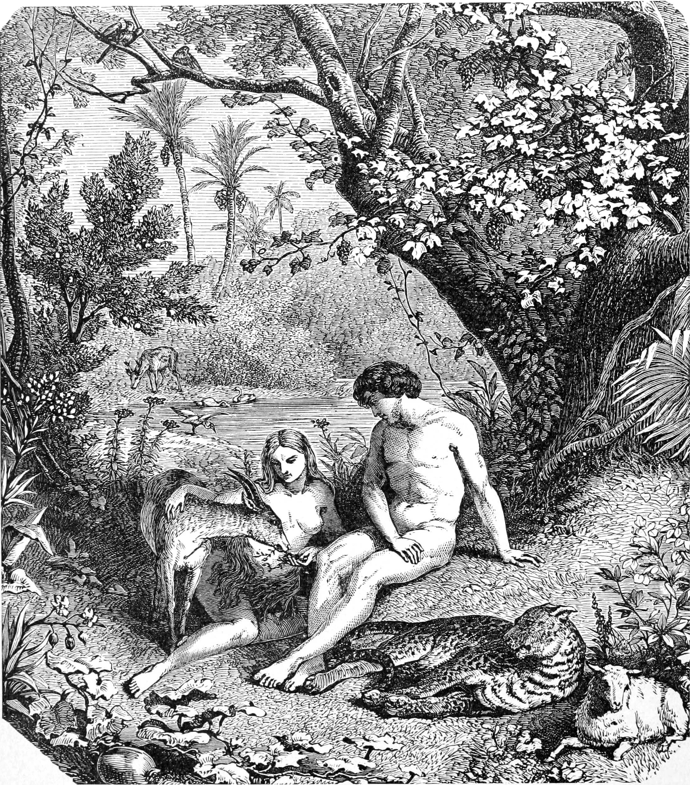 File:Lucas Cranach d. Ä. - Adam and Eve (Koninklijk Museum v. Schone Kunsten Ant