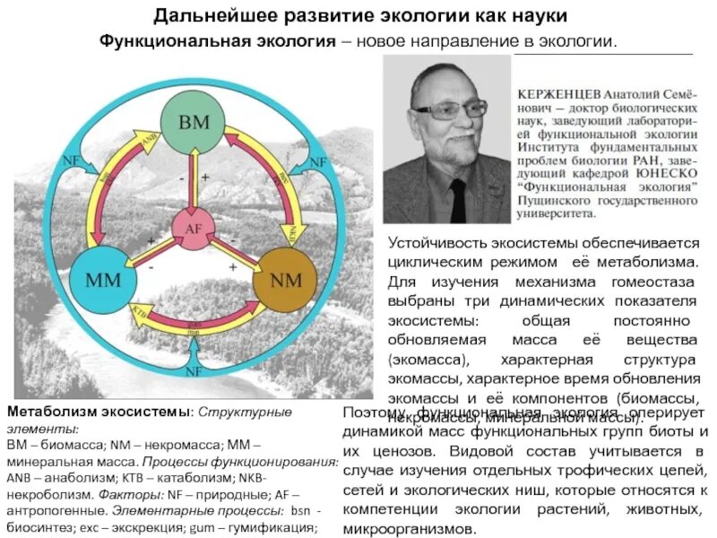 Формирование экологических систем. Показатели экосистемы. функциональная экология. показатели биогеоценоза. этапы развития экологии.