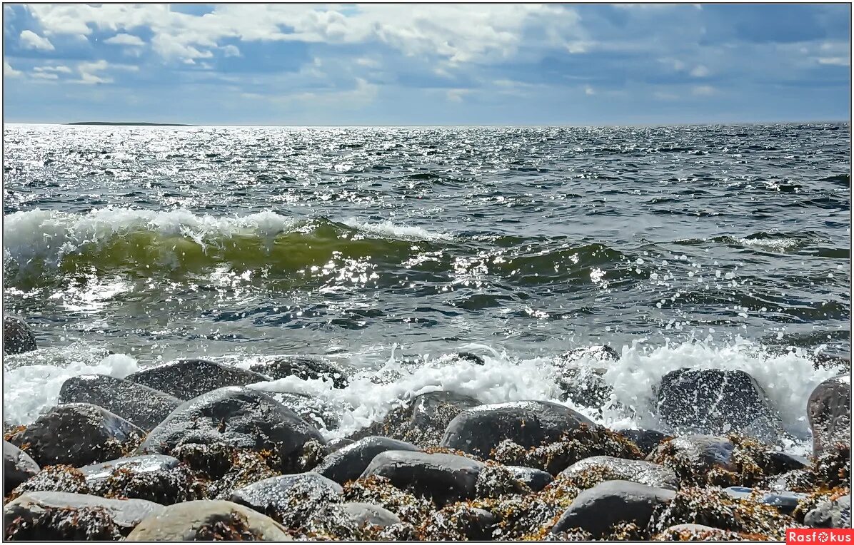 Назовите цветные моря. Остров мягостров в белом море. Какая вода в белом море. Белое море температура воды. Населённый пункт белое море.