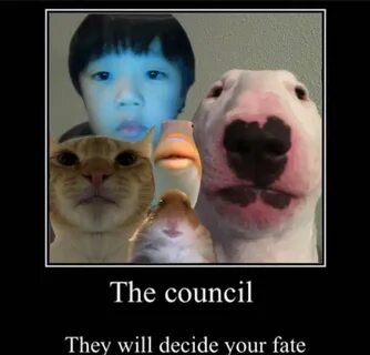 Will decide