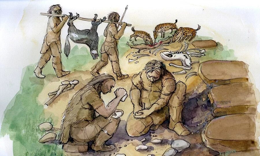 первобытный человек иллюстрация. собирательсовпервобытных людей. человек разумный разумный homo sapiens sapiens. первобытное человеческое стадо. древние люди занятия.