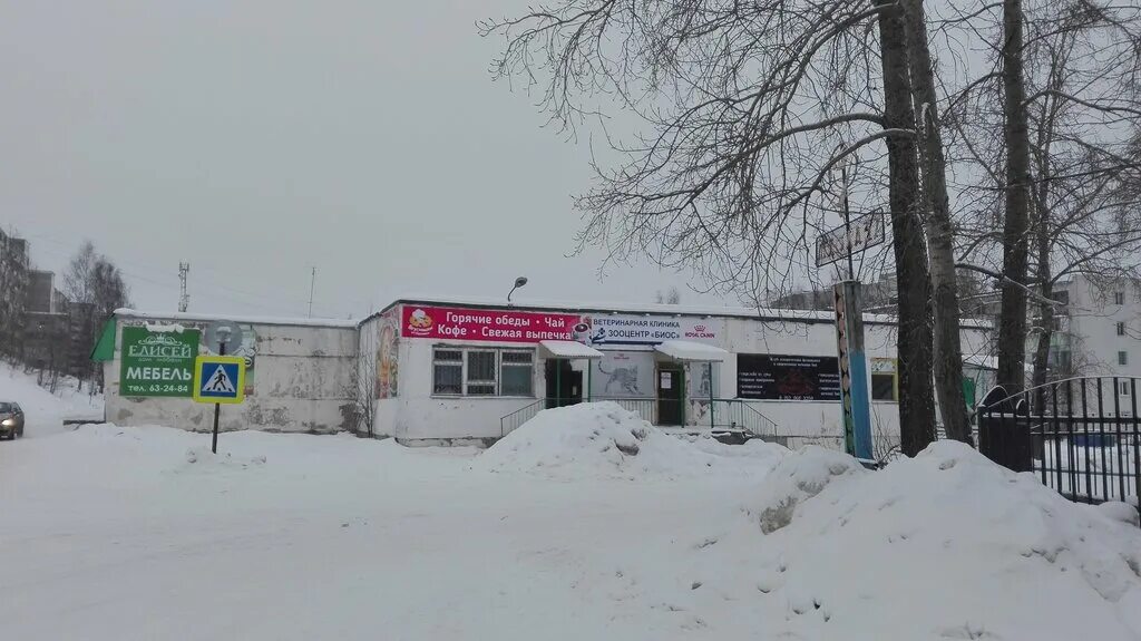 Ветеринарная клиника в иглаково. Биос эжва. Интернациональная 157 сыктывкар. Биос эжва. Ветклиника эжва слободская.