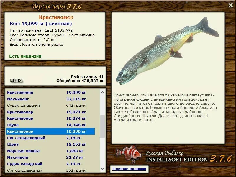 Озёрный голец-кристивомер. Русская рыбалка 3 7 4 окунь. Русская рыбалка 3 7 6 Великие озера голец американский. Русская рыбалка 3 озеро окунь. Русская рыбалка игра installsoft
