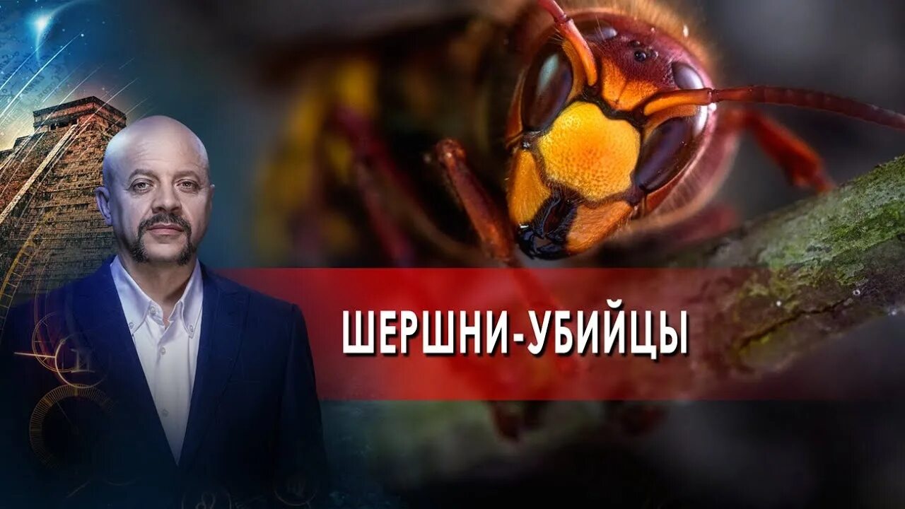 Загадки с олегом шишкиным 2025. Загадки человечества с олегом шишкиным 2025. загадки человечества с олегом шишкиным рен тв. загадки человечества с о шишкиным последние выпуски.