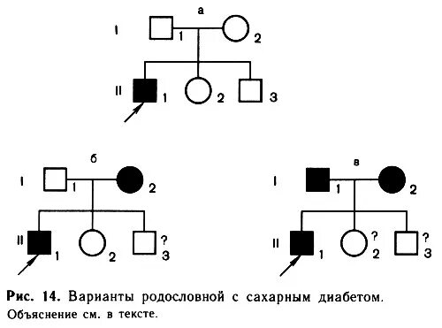 Сахарный диабет родословная. Родословная семьи с сахарным диабетом. родословная сахарный диабет. родословная по сахарному диабету. родословная семьи с наследованием сахарного диабета.
