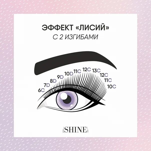 Эффект мокрая лиса схема. Натуральный эффект наращивания ресниц 2d схема. разреженный эффект наращивания ресниц схема. натуральный эффект наращивания ресниц схема 3д. разреженный эффект наращивания ресниц 2д схема.