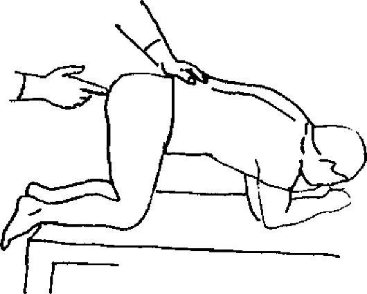 Тест ректально. Пальцевое исследование прямой кишки в позе. Пальцевое исследование прямой кишки положение пациента. Станок для фиксации в коленно-локтевой позиции.