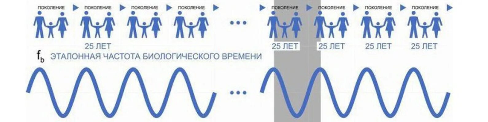 Законам временами она дает. Закон времени. Закон времени КОБ. Закон времени картинки.