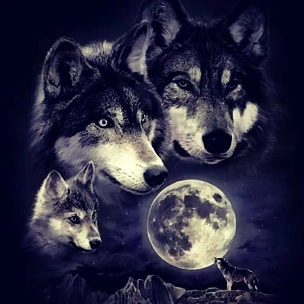 волчонок тату эскиз. волчонок тату эскиз. волчица с волчатами рисунок. таты волк волчонок волчица. портрет мамы волчицы.