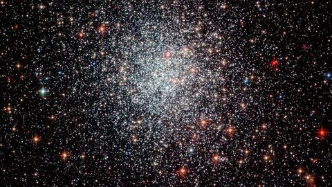 Stars 894