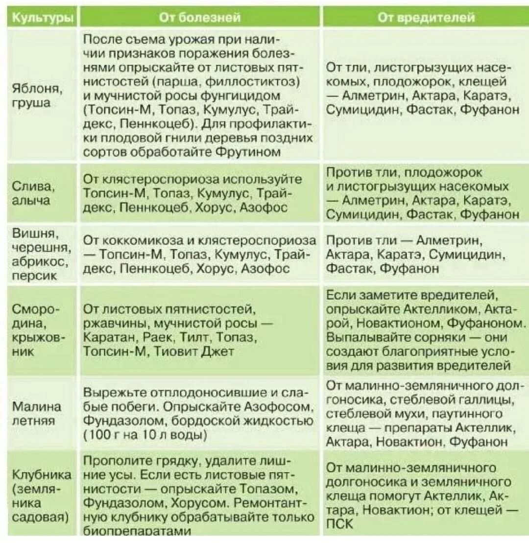 В какое время суток лучше опрыскивать. Схема опрыскивания плодовых деревьев весной от вредителей и болезней. График обработки плодовых деревьев от вредителей и болезней. Таблица опрыскивания сада. Средство для обработки плодовых деревьев от вредителей.