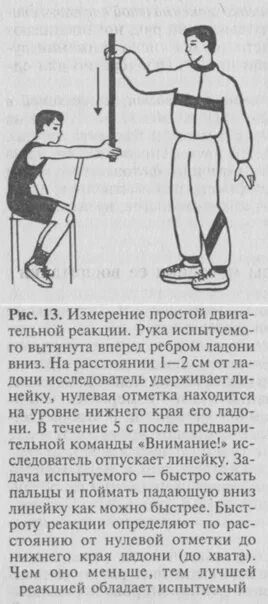 Тест реакции человека. Тесты для определения скоростных способностей. упражнения для оценки уровня развития скоростных способностей. контрольные тесты для определения уровня быстроты. упражнения на определение скоростных качеств.