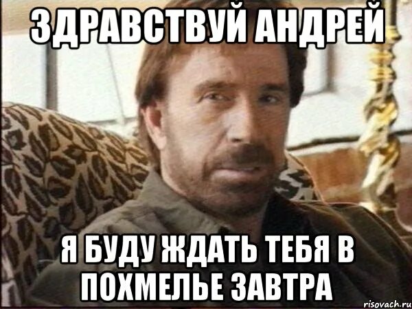 Андрюша чат. Привет андрюша.