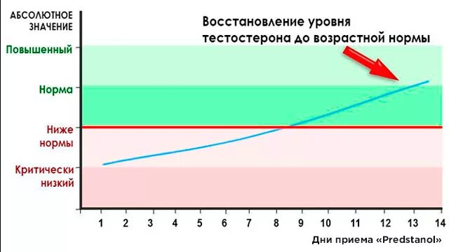 Сколько нужно времени чтобы восстановиться после. Уровень тестостерона график. Уровень тестостерона после мастурбации. Уровень тестостерона с возрастом. Восстановление тестостерона.