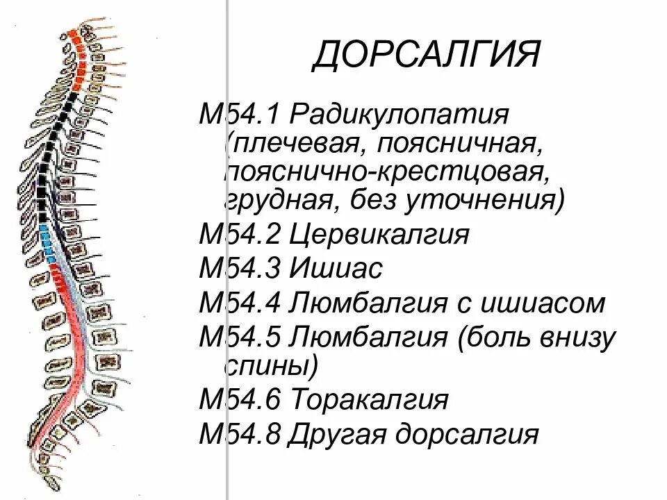 Дорзалгия. Дорсалгия. Дорсалгии позвоночника. Дорсалгия грудного отдела позвоночника. Дорсопатия шейного и грудного отдела.