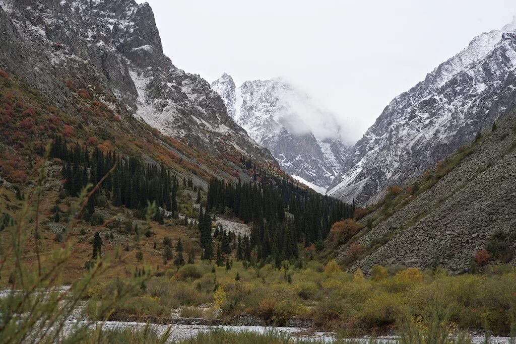 Забытый ала. Ала Арча Киргизия. Ала-Арча национальный парк. Ущелье ала-Арча Киргизия. Природный парк ала Арча Кыргызстан.