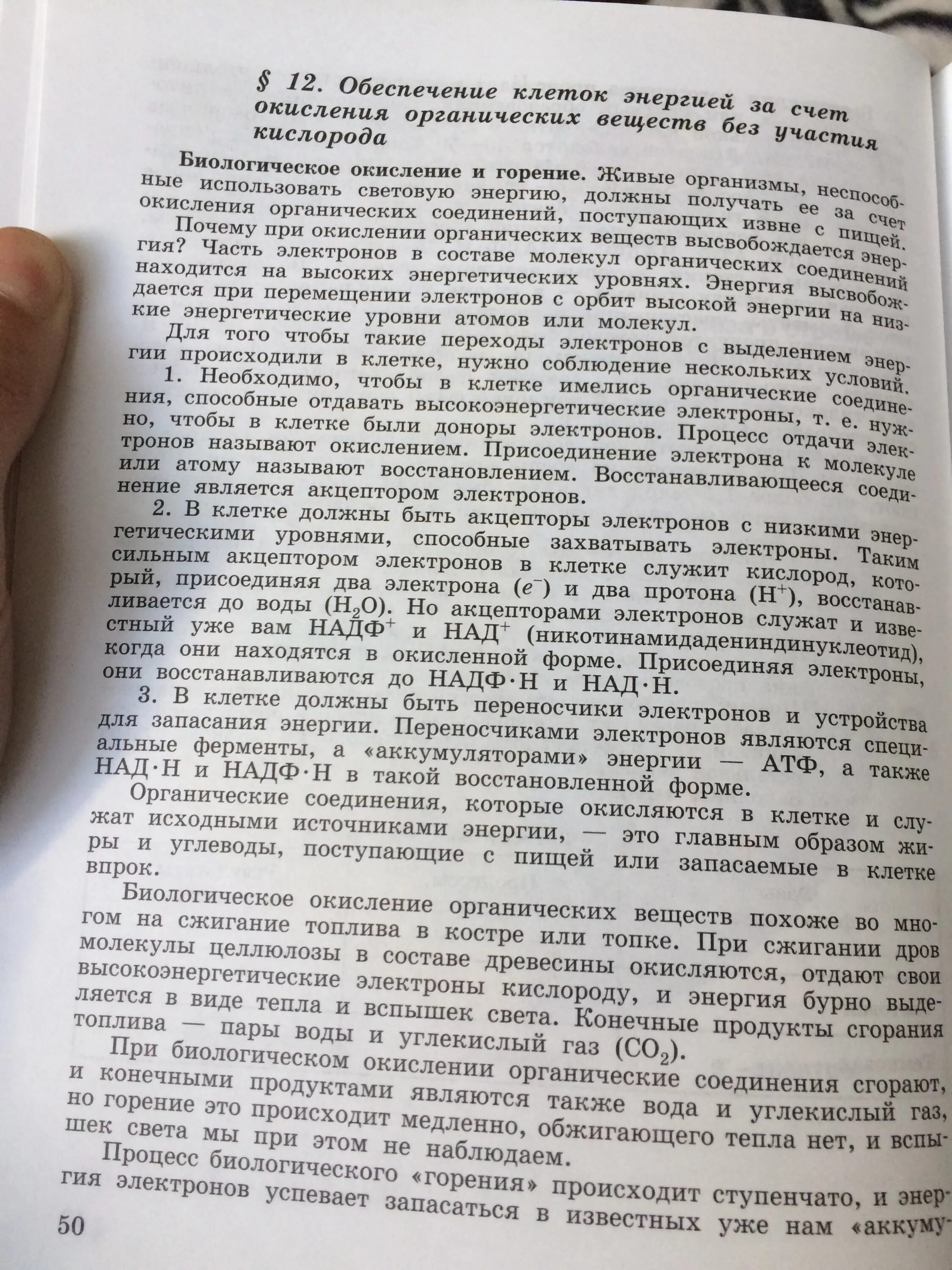 Окисление органических веществ в клетках. Сравните горение и биологическое. Сравните горение и биологическое окисление. Биология сравнение горения и биологического окисления. Окисление и горение сравнение.