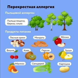 Какие фрукты можно при аллергии
