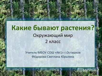 Тест какие бывают растения 2 класс