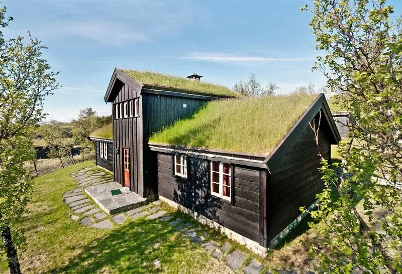 Озеленение крыш домов. Дом с зеленой крышей. Дом с "зеленой" крышей Норвегия. Зеленая кровля Норвегия.