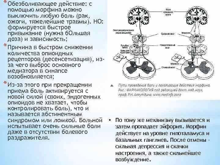 Механизм анальгезирующего действия морфина. Схема действия морфина. Механизм действия морфина фармакология. Основные фармакологические эффекты морфина.