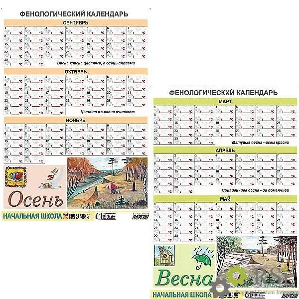 Фенологический календарь. Фенологический календарь 5 класс география. Дневник фенологических наблюдений. Календарь фенологических наблюдений. Фенологический календарь 5 класс география.