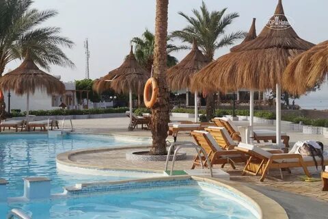 Albatros sharm ex beach 4 отзывы