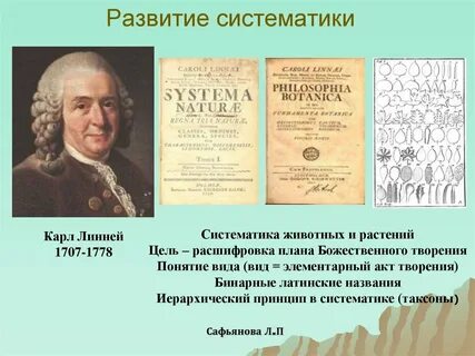 Кто создал первую систематику