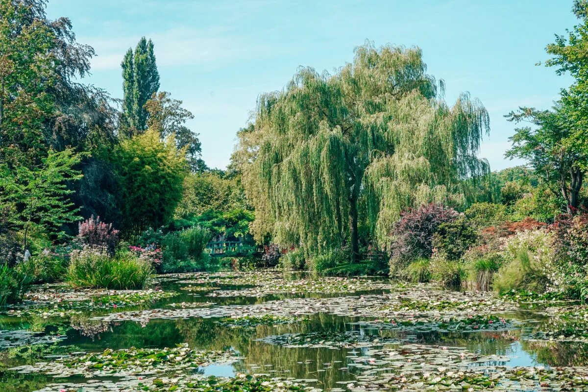 Сады моне где. Живерни франция усадьба клода. сад моне в живерни. крапивный остров живерни.
