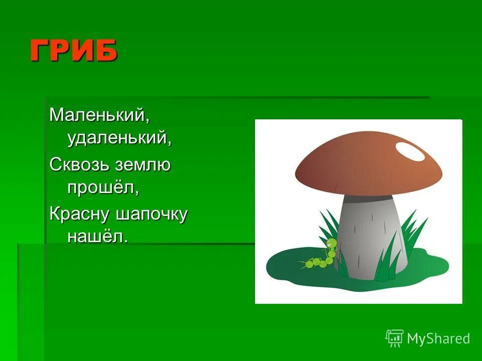 Схема предложения для дошкольников. Сосна и боровик тип взаимоотношений. Предложение со словом грибница. Описание гриба подосиновика 2 класс. Рассказ о грибах.