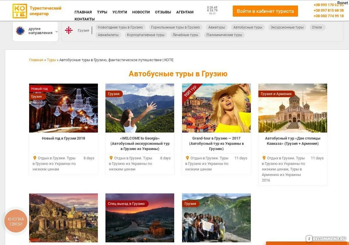 Alvona. Рыжий кот оренбург. Турагент котик. Турагентство коте. Рыжий кот оренбург.