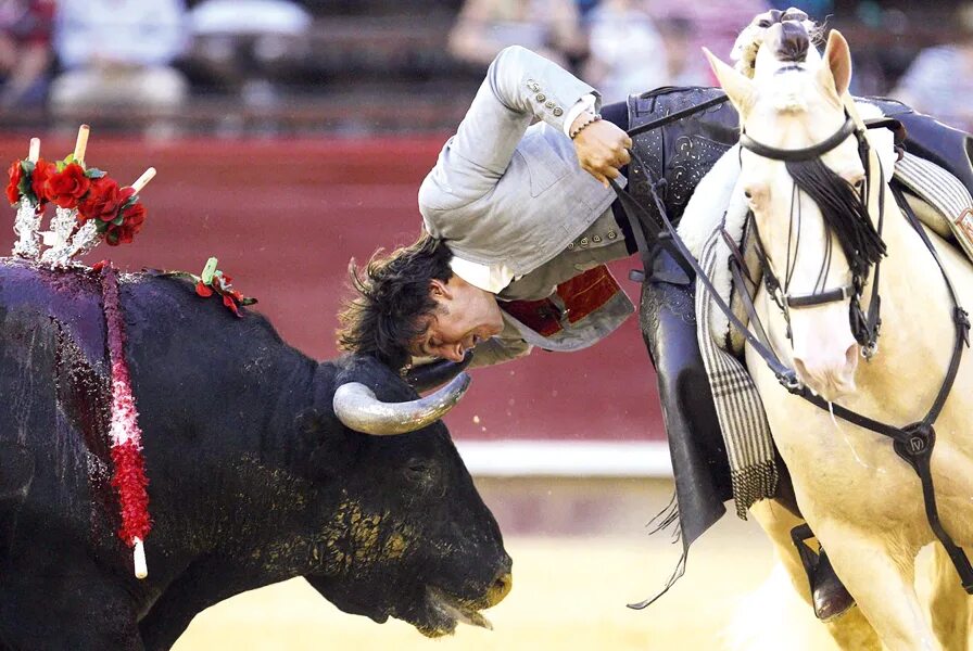 Бой с быком как называется. Испанский карнавал коррида тореадор. Бой с быком как называется. Коррида в испании матадор. Бой с быком как называется.