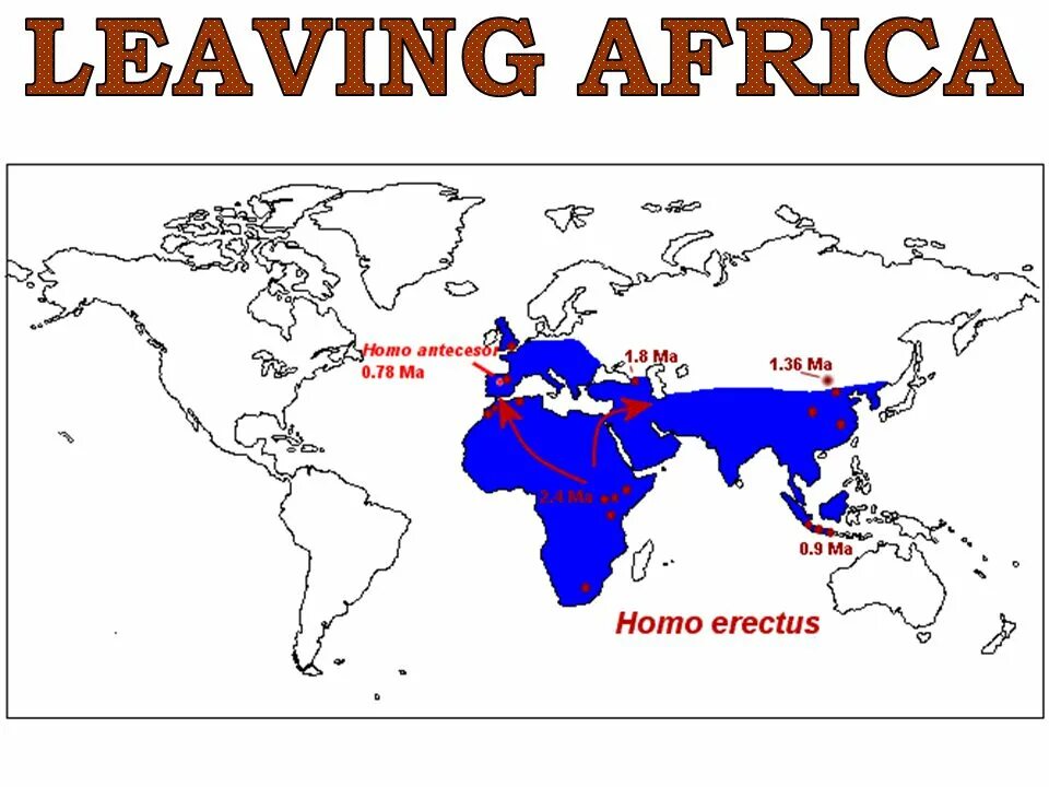 Карта расселения неандертальцев. Место обитания людей. Пригодные для жизни территории в мире. Место обитания людей. Хомо сапиенс ареал обитания.