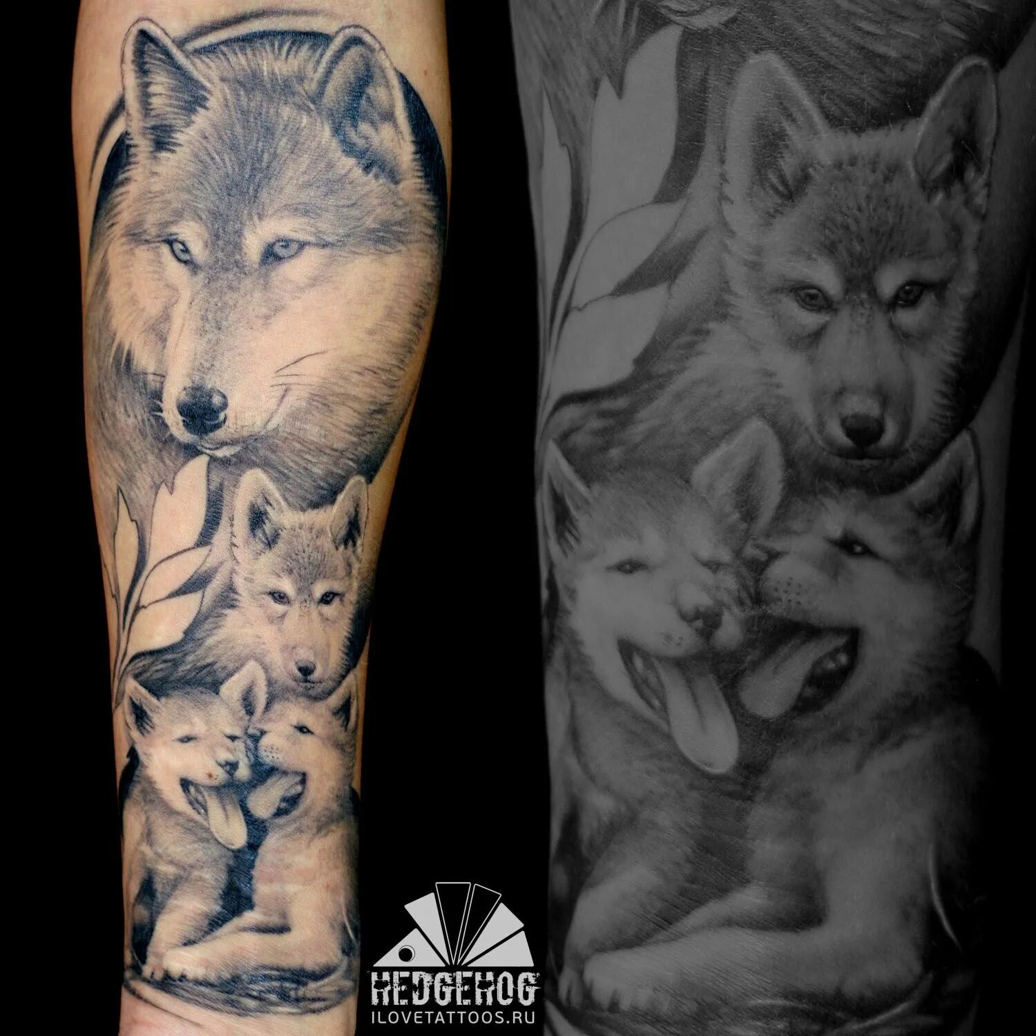 волк набросок. тату волк с волчатами. тату волк и волчонок. тату волчица с волчатами. тату волк с волчонком эксклюзив.