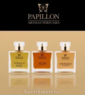 Papillon rising