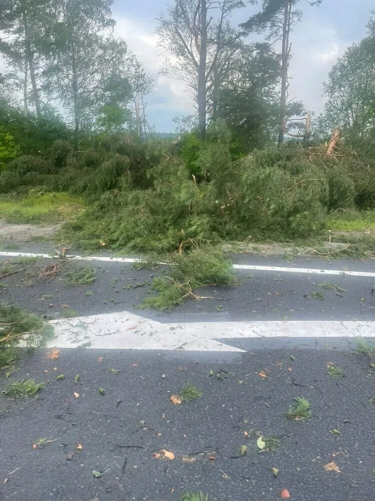Завал на дороге 13 букв