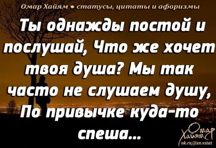 Статусы про русского. Цитаты для статуса. Высказывания для статуса. Афоризмы и цитаты. Статусы афоризмы.