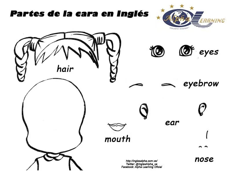 Части лица Worksheets for Kids. Eyes nose mouth Ears упражнения для детей. Глаза уши нос на английском. Глаза рот волосы по английскому. Глаза на английском языке перевод