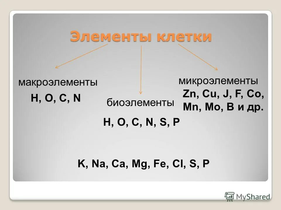 Биоэлементы макроэлементы микроэлементы. К макроэлементам относятся элементы. Химические элементы клетки. Химические элементы макроэлементы биоэлементы микроэлементы. S f co