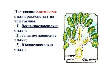 Южнославянская ветвь языков