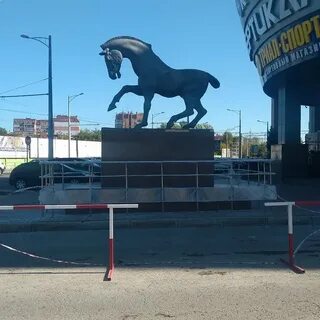Самара коне