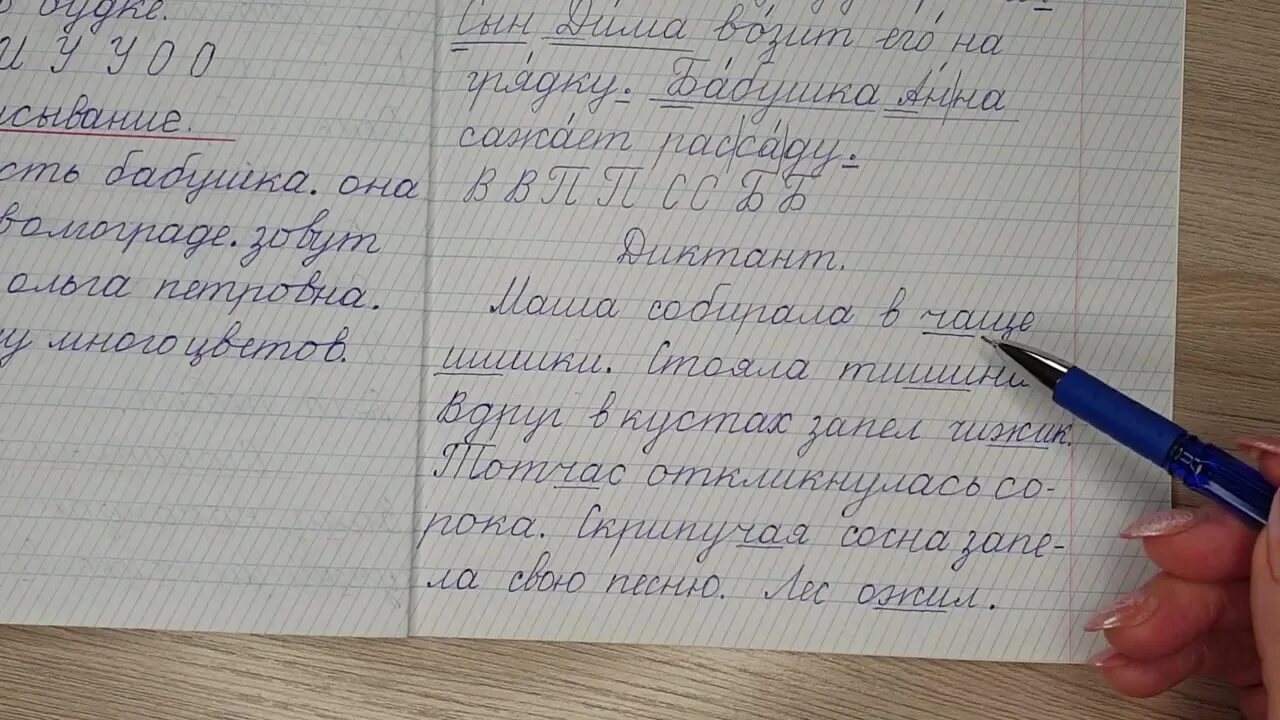 Диктант первый класс 1 по русскому. Диктант на жи ши. Диктант 1 класс по русскому языку жи. Маленький диктант для 1 класса. Диктант 1 класс 1 четверть.