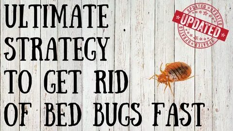 Get those bugs